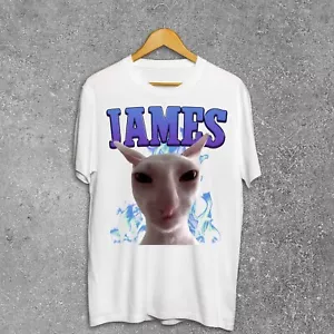 James Funny Cat Meme T-shirt, Silly Cats Shirt, Brainrot Shirts, Cringe Tee - Picture 1 of 1