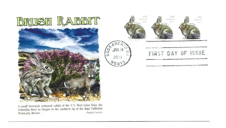  5544 Brush Rabbit, Panda Cachets, FDC - Image 1 of 1
