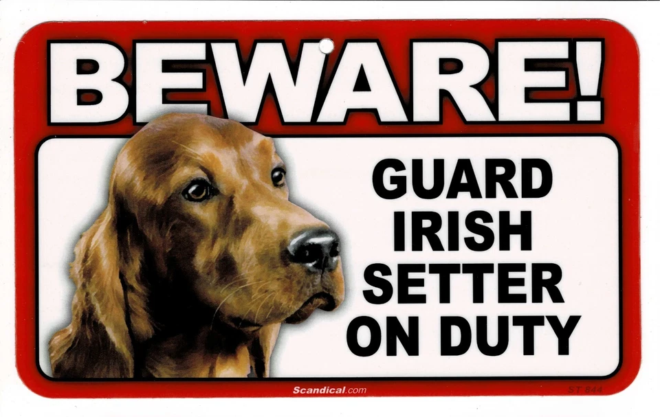 CUIDADO CON EL LETRERO LAMINADO RECTANGULAR PERRO/MASCOTA SETTER IRLANDÉS. ENVÍO COMBINADO. Foto 1 de 1