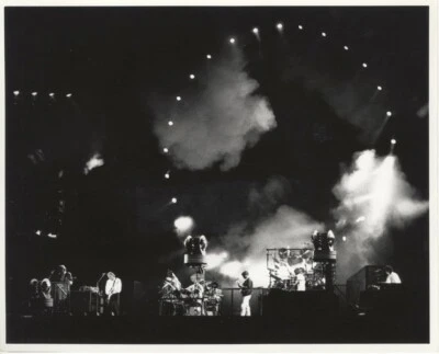 Pink Floyd 音乐会 Fern Park David Gilmour 吉他原版加盖 8 x 10 照片 — 第 1/2 张图片