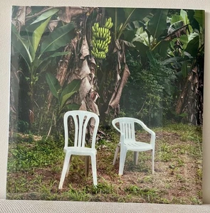 Bad Bunny – Debí Tirar Más Fotos - 2x Vinyl Gatefold - SEALED - Picture 1 of 2