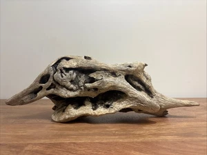 Beautiful fall, driftwood piece home decor aquarium? - Picture 1 of 14