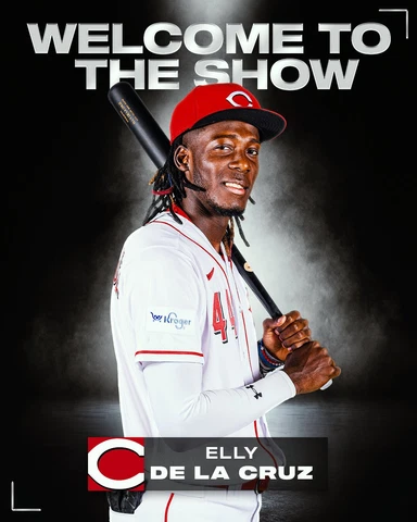 MLB BASEBALL CINCINNATI REDS ELLY DE LA CRUZ GAMEROOM DECOR FRIDGE MAGNET #6 Cover