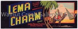 Florida Fruit Crate Label Fine Art Print, Camel, approx 13.8" x 5.3" 12830 - Picture 1 of 1