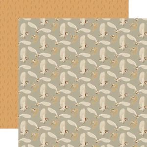 2 Hojas de Cartulina Echo Park Brujas y Magos 12x12 - Búhos - Imagen 1 de 1
