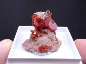 ✅ FDMINERALIEN ✅ Amazing 👉 VANADINITE 👈 ACF Mine - Mibladen - Marokko - 24 V - Bild 1 von 7