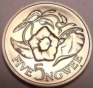 Rare Proof Zambia 1968 5 Ngwee~Morning Glory~Extreme Low Mintage 4,000~Free Ship - Picture 1 of 2