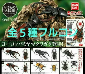 Ikimono Enzyklopädie Hirschkäfer 05 Komplettset alle 5 Arten Gashapon - Bild 1 von 7