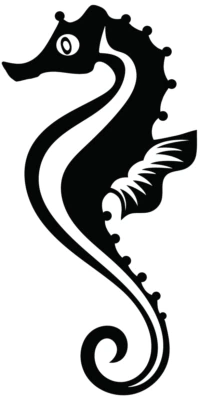 Sea Horse Decal Multicolor Made In USA — 第 1/4 张图片