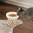 Raised Cat Food Bowls Water Bowls Feeding Station with Stand Kitty Elevated Pet