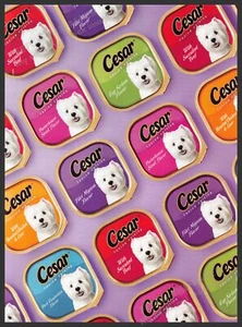 Anuncio publicitario impreso Cesar años 2000 2008 perro colorido promoción - Imagen 1 de 1