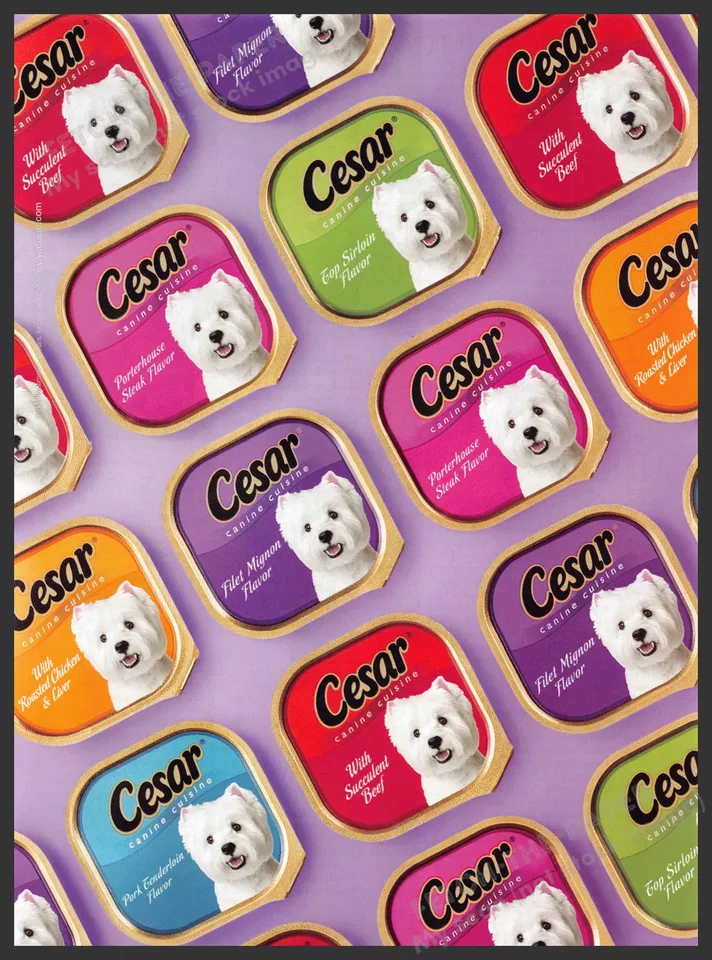 Cesar 2000s Print Advertisement Ad 2008 Dog Colorful Promo - Image 1 of 1
