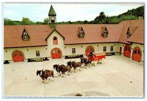 c1950's Clydesdale Horses Anheuser Busch Merrimack New Hampshire NH Postcard - Picture 1 of 2