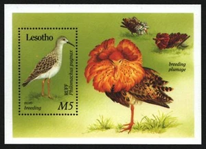 Lesoto 1989 - Mi-Nr. Bloque 66 ** - Estampillada sin montar o nunca montada - Pájaros / Pájaros - Imagen 1 de 1