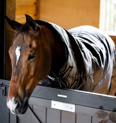 Amigo Ripstop Insulator Plus Stable Blanket (350g) - Image 1 of 4