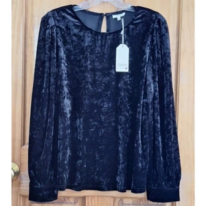 NWT JODIFL Los Angeles Shirt Women Large Velvet Keyhole Balloon Sleeves Boutique - Picture 1 of 10