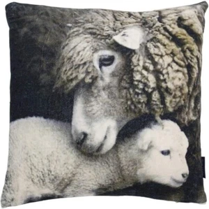 Mars & More - Kissen, Dekokissen, Samtkissen Lamm/ Schaf  50X50 cm - Bild 1 von 1