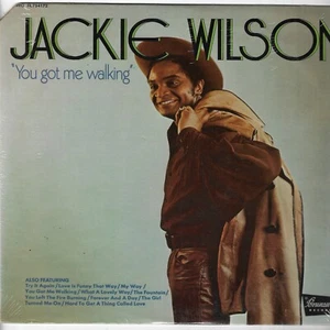 JACKIE WILSON you got me walking U.S.BRUNSWICK LP_original 1970 rare WHITE LABEL - Picture 1 of 4