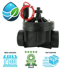 Hunter ICV-201G-FS 2" Globe Valve w/ Flow Control Filter Sentry Female x Female - Picture 1 of 11