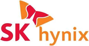 Memoria RAM de servidor Hynix 96 GB 2Rx4 DDR5 4800 MHz EC8 RDIMM PC5-38400 (HMCGM4MEBRB) - Imagen 1 de 1