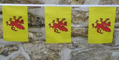 Somerset Flag Polyester Bunting - Various Lengths - Image 1 of 4