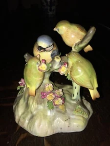 royal Adderlay blue tit and young - Picture 1 of 4