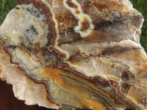 DIG-N-UTAH: POLISHED CRAZY LACE AGATE CAB  # L 251 - Picture 1 of 4