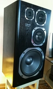 Coral DX 11, ein Paar ,guter Zustand , volle Funktion - Bild 1 von 7