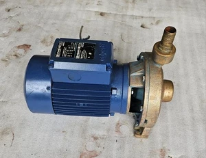 Calpeda B-NM 20/160A-60/A 220/380/60 Hz Close Coupled Centrifugal Pump - Picture 1 of 6