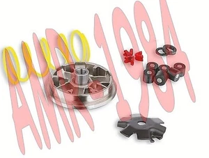 Cambiador Malossi Multivar Honda Plomo Sh 50 Peugeot Metropolis 50 517074 - Imagen 1 de 1