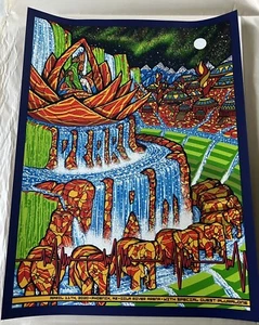 PEARL JAM - PÓSTER CONCIERTO PHOENIX - ABRIL 2020 - BRAD KLAUSEN - EDDIE VEDDER - Imagen 1 de 7