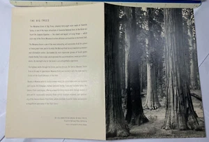 YOSEMITE AHWAHNEE MENÜ 12. Oktober 57 6x8-1/2" Ansel Adams Schmetterling Hain große Bäume - Bild 1 von 2