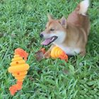 Bite Resistant Dog Chew Interactive Toys  for Dogs Puppy