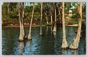Cypress Gardens FL Lake Eloise gazebo vista attraverso cipressi cartolina - Foto 1 di 2