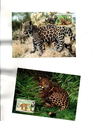 Belize MAXI CARDS FDC Sc#689 to 692 set of 4 covers CATS WWF - Image 1 of 4