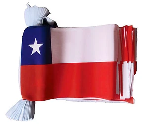 CHILE 3 METRE BUNTING 10 FLAGS flag 3M CHILEAN SANTIAGO SOUTH AMERICA - Picture 1 of 1