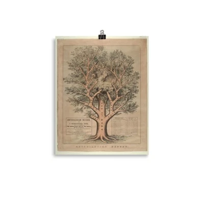 Vintage Religious Art, Family Tree Art Biblical Genealogical Tree - 1873 - Image 1 of 4