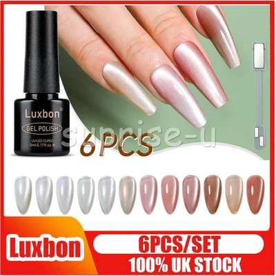 Luxbon 6PCS/SET Cat Eye Magnetic Gel Nail Polish Set -Nails Art Manicure Kit V