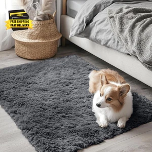 2X3 Machine Washable Small Bedside Rug, Soft Fluffy Shaggy Entryway Throw Rugs f - Picture 1 of 8