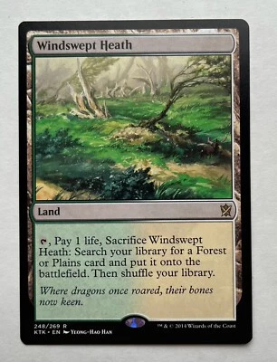 MTG - Windswept Heath - Khans of Tarkir  N/M - Image 1 of 2