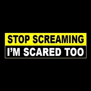 Funny "STOP SCREAMING - I'M SCARED TOO" bad driver student BUMPER STICKER new - Picture 1 of 1