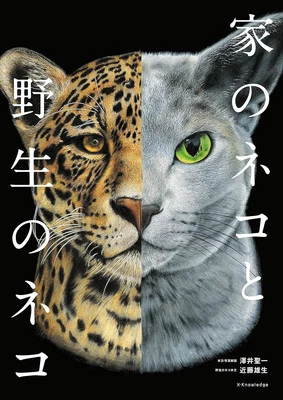 House cats & Wild cats nature observation Photo illustrated book Softcover - Image 1 of 4