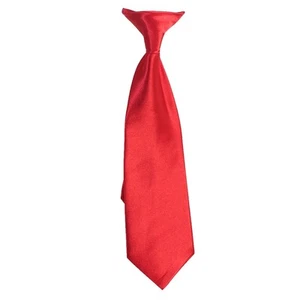 Boys Ties Clip On Neck Ties Solid Striped Satin Size Kids Toddler Boys New Tags - Picture 1 of 33