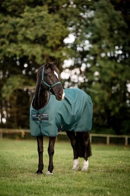 HORSEWARE Amigo® Ripstop 900D Turnout 0g Dynasty Green/ Navy & Silver