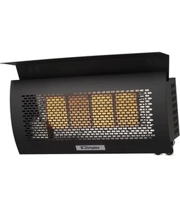 Dimplex DGR32WNG Outdoor Wall Mounted Infrared Deck Patio Heater, Natural Gas - Picture 1 of 6