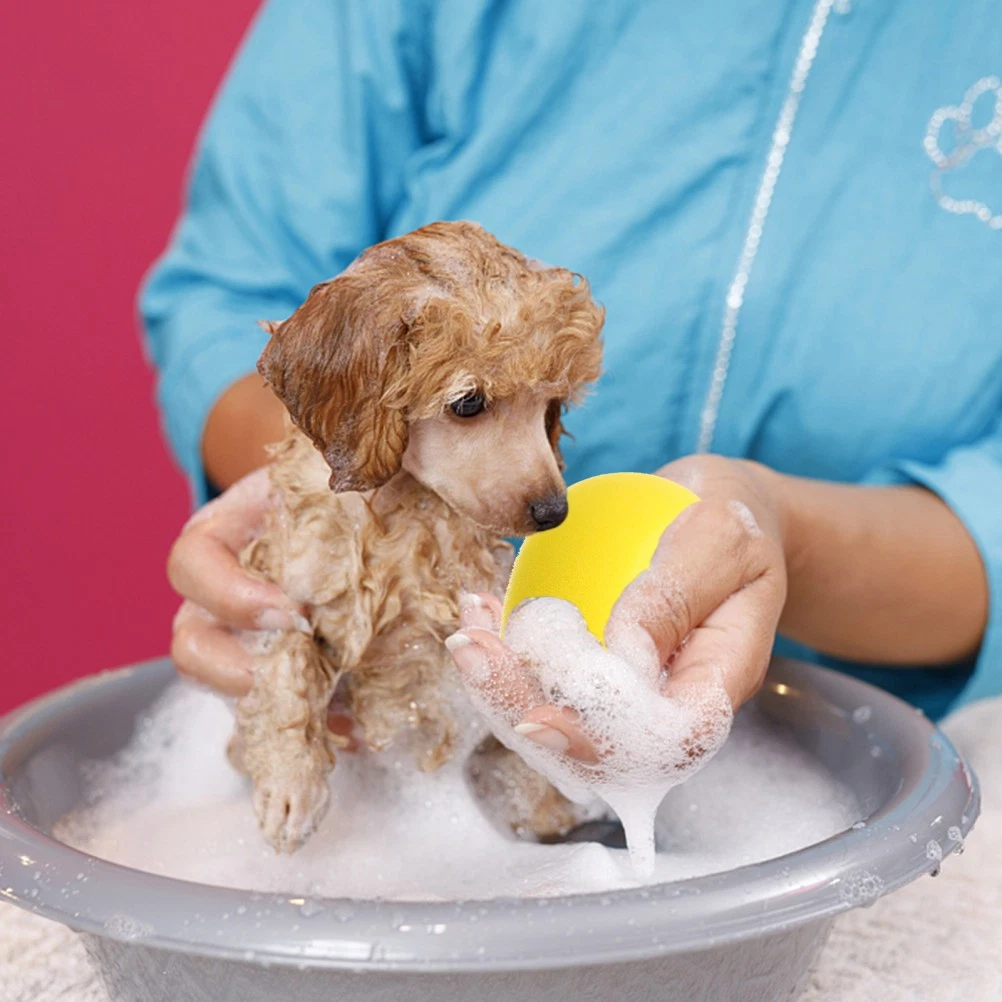 3-in-1 Hundebürste Mit Seifenspender – Silikon, Rutschfester Griff, Spart Zeit & Shampoo, Für Hunde & Katzen