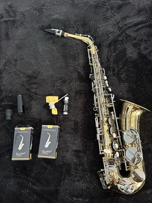 Saxofón alto Selmer Aristocrat AS600 de latón con estuche rígido y accesorios  Foto 1 de 4