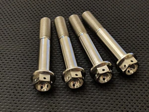Aprilia RSV4 1000 Factory Titanium Drillled Front Brake Caliper Bolts 17 Race - Picture 1 of 3