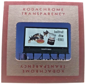 Kodachrome Red Border Slide | *1949* ARMOUR DASH DOG FOOD Billboard Sign Ad - Picture 1 of 3