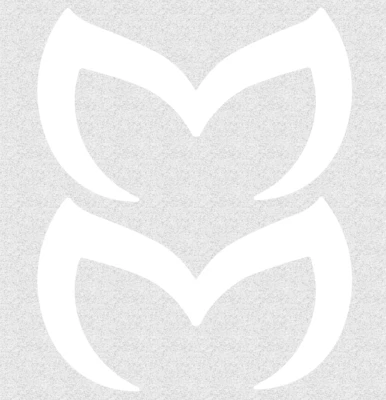 Conjunto de 2 adesivos Mazda Evil M preto fosco (plano) também disponível - Imagem 1 de 3